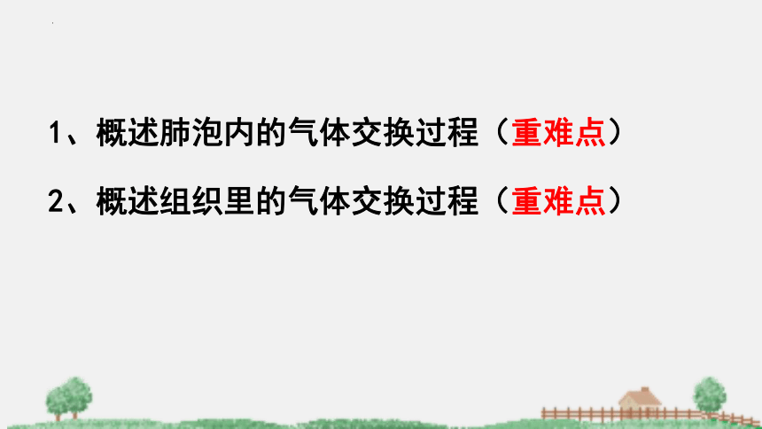 2021-2022学年苏教版生物七年级下册10.4人体内的气体交换课件(共24张PPT)