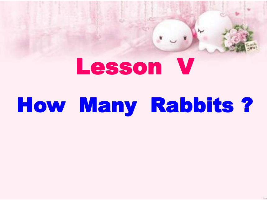 lesson V how many rabbits 课件 （共47张PPT）