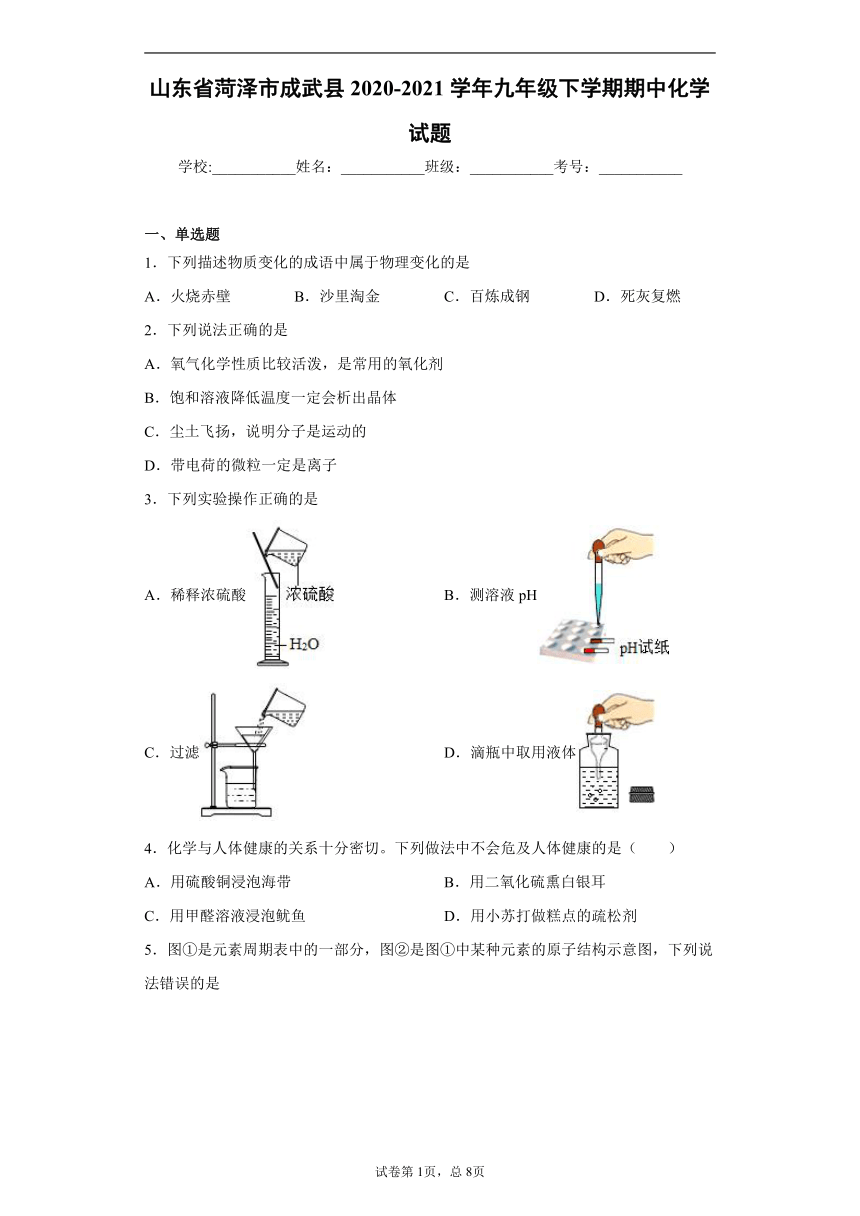 山东省菏泽市成武县2020-2021学年九年级下学期期中化学试题（word版 含解析答案）