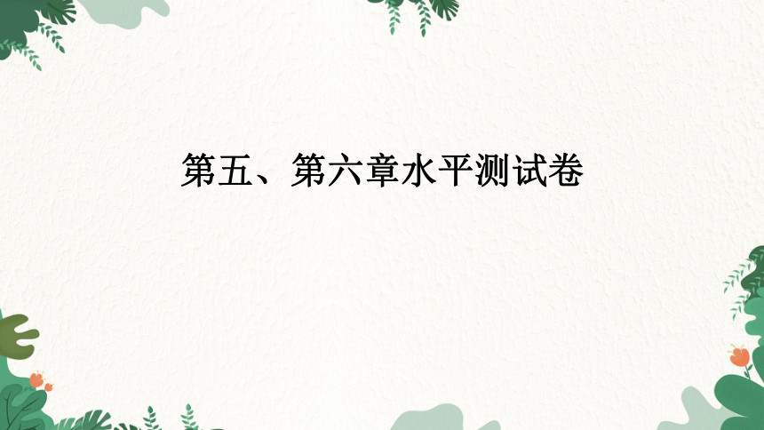 粤教版地理七年级上册第五、第六章水平测试卷课件(共35张PPT)