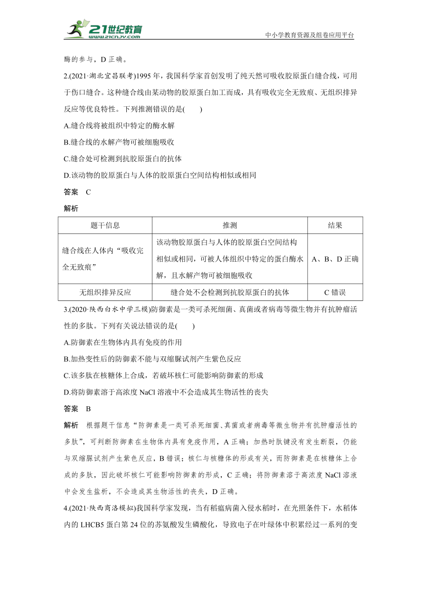 【生物新高考一轮复习】热点微练2　蛋白质的结构与功能观（word版含解析）