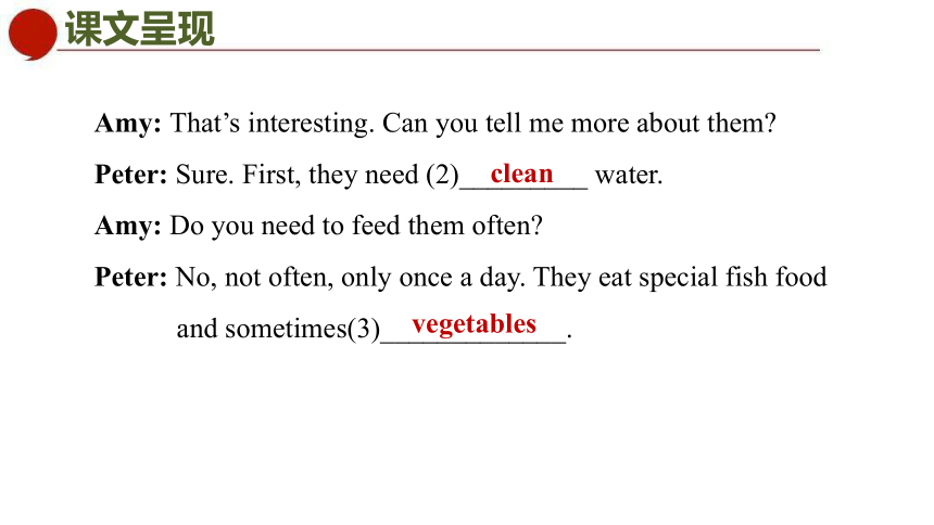 Unit 8 Pets Period 4 Integrated skills & Study skills 课件(共31张PPT)