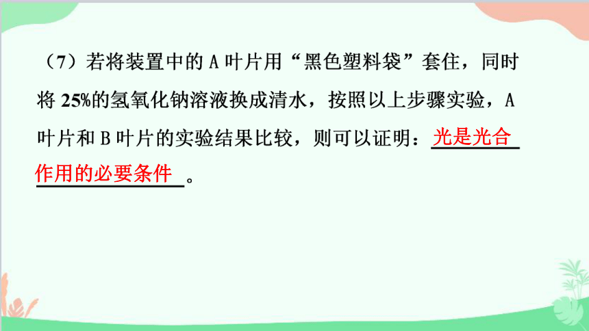 人教版生物七年级上册 3.5.1 光合作用吸收二氧化碳释放氧气 课件 (共28张PPT)