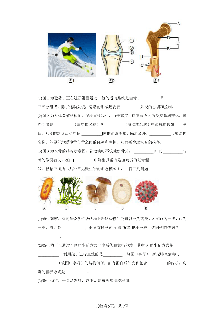 四川省成都市邛崃市2022-2023学年八年级上学期期末生物试题（含答案）