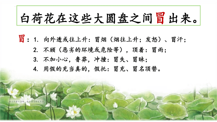 3《荷花》第二课时 课件(共25张PPT)