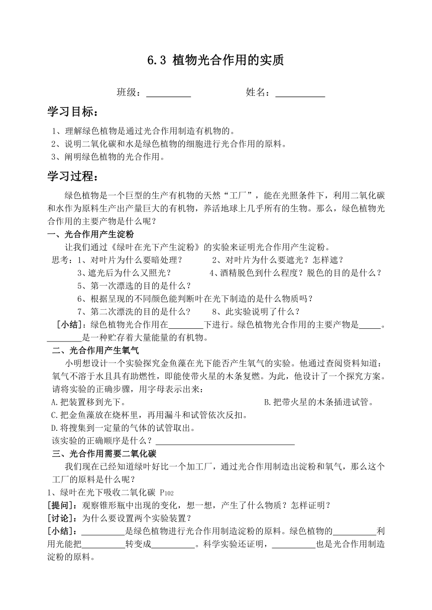 苏教版生物七年级上册6.3 植物光合作用的实质导学案（无答案）