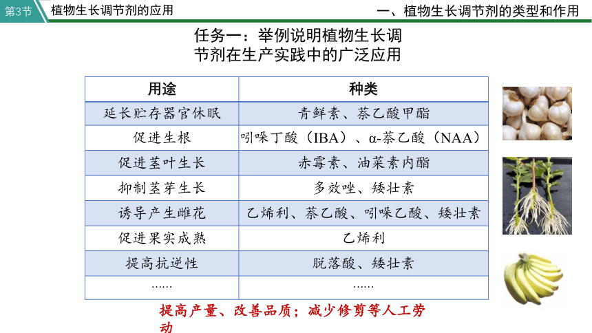 5.3 植物长生调节剂的应用  人教版（2019）选择性必修1(共22张PPT)