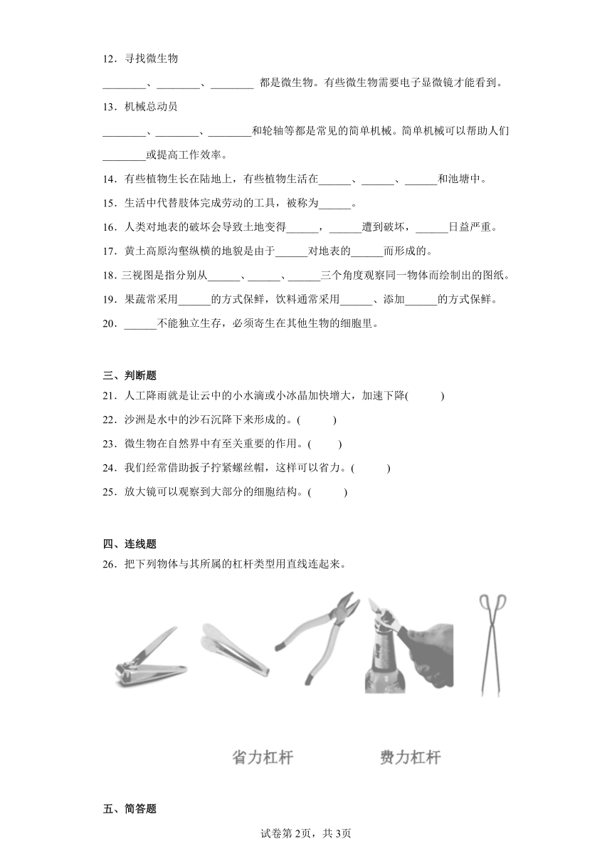 冀人版五年级下册科学期末测试卷