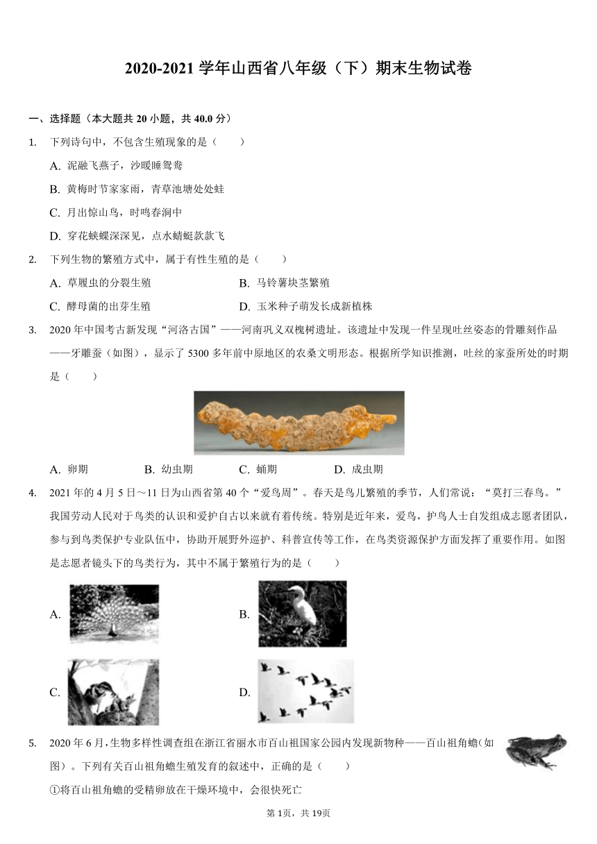 2020-2021学年山西省八年级（下）期末生物试卷（word版，含解析）