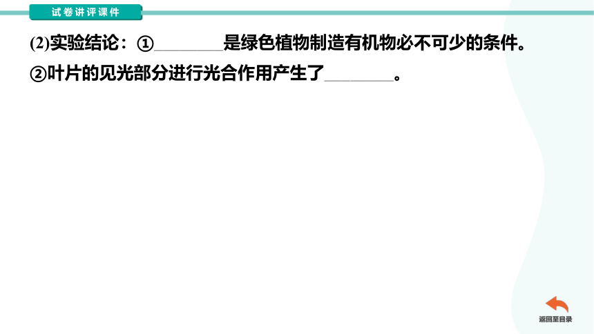 第三单元第四章绿色植物的光合作用复习试卷讲评课件（共54张PPT）