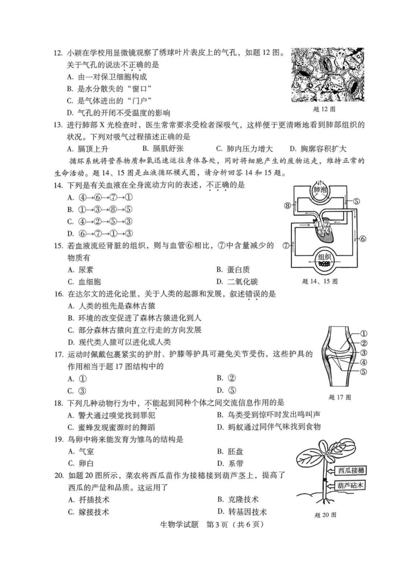 2023年广东省中考三模生物试卷（图片版  无答案）