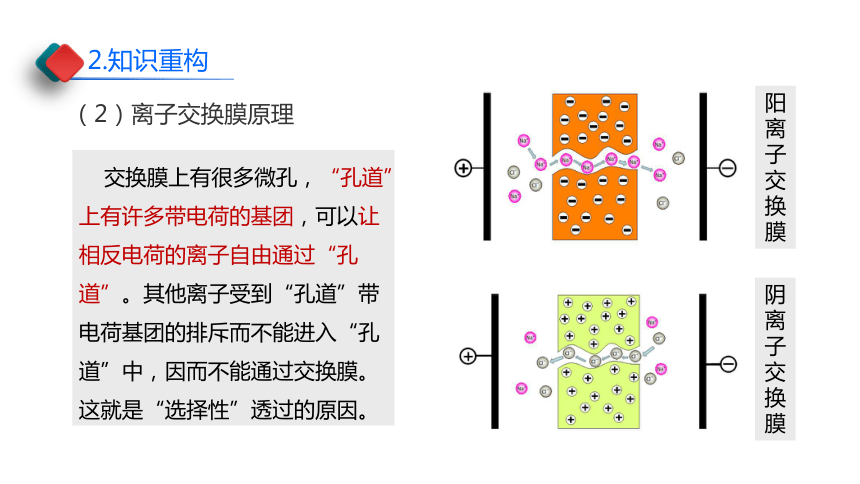 2024届高中化学二轮专题复习第7讲-选择放行：离子交换膜在电化学中的应用（共42张ppt）