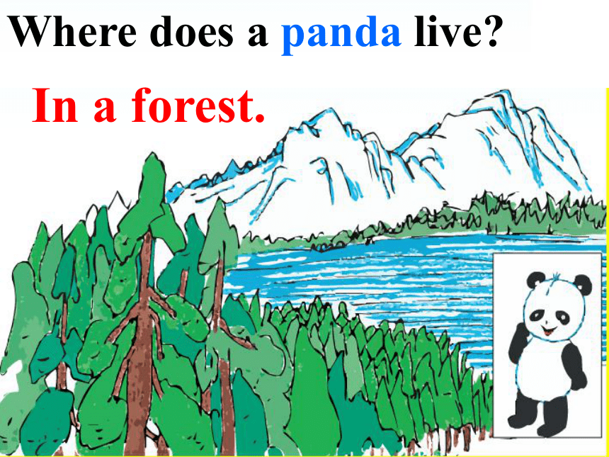 Unit 2 Animals at the Zoo  Lesson 10 Where Do They Live? （共17张PPT）