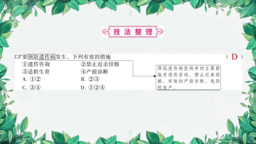 2023年中考生物复习 课题五 遗传变异与遗传病课件(共31张PPT)