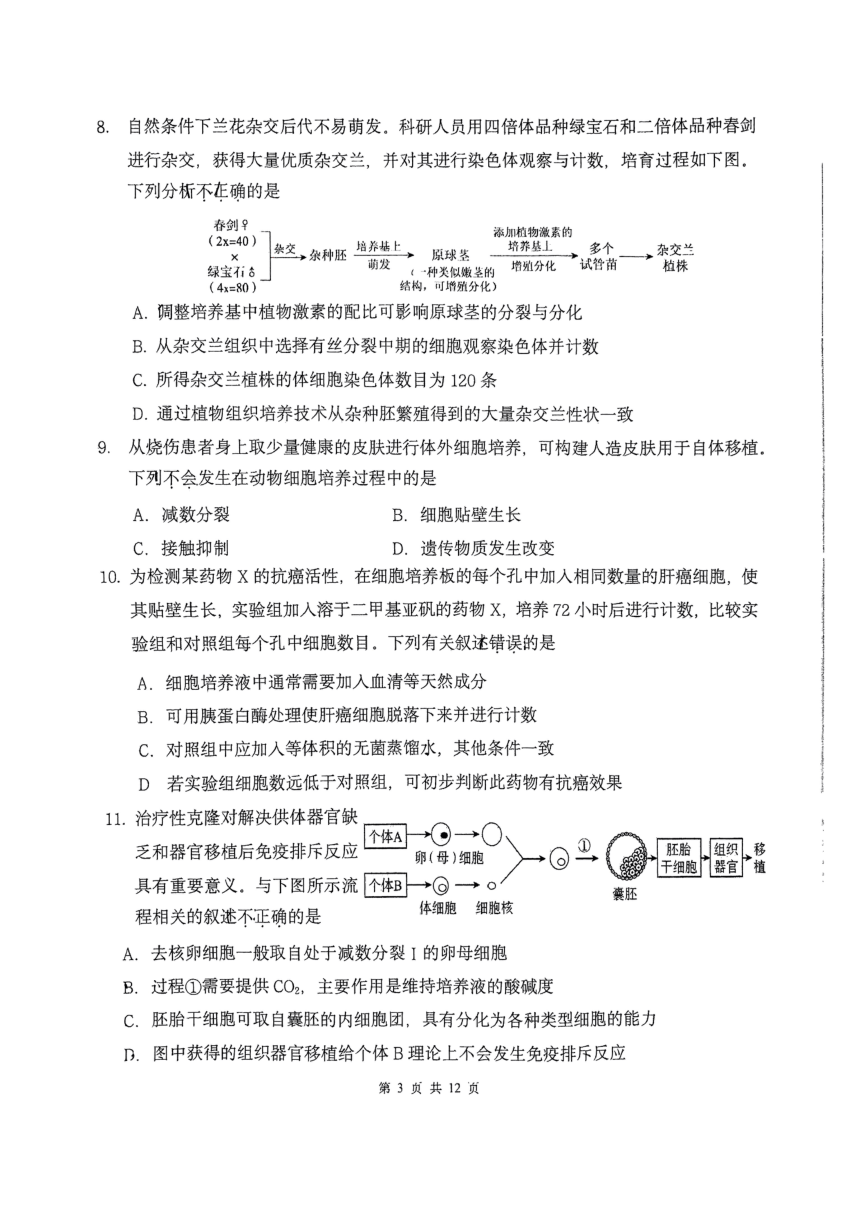 北京市十一学校2023-2024学年高二下学期期中考试生物试题 (扫描版有答案)