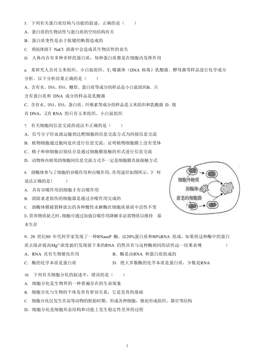 安徽省涡阳县高中2020-2021学年高一下学期6月第二次质量检测生物试题      含答案