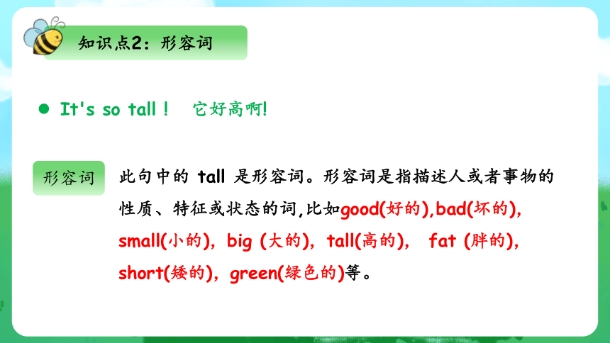 Unit 3 At the Zoo 单元复习(四)-语法+典型例题（共33张PPT）