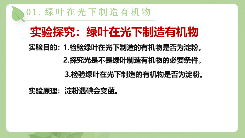 2021-2022学年人教版七年级生物上册第三单元第四章 绿色植物是生物圈中有机物的制造者  课件(共23张PPT)