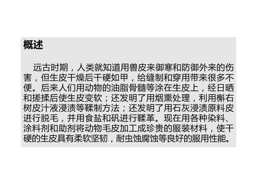 5.1裘皮与皮革 课件(共49张PPT)-《服装材料》同步教学（中国纺织出版社）