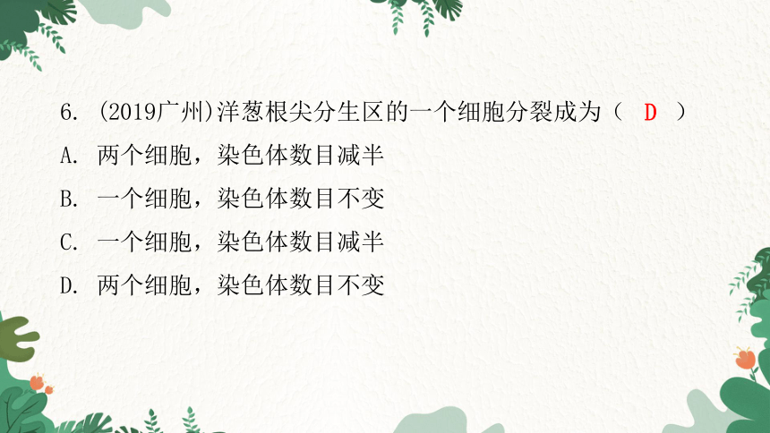 人教版生物七年级上册 第二单元生物体的结构层次章末总结第二章 细胞怎样构成生物体习题课件（共32张PPT）