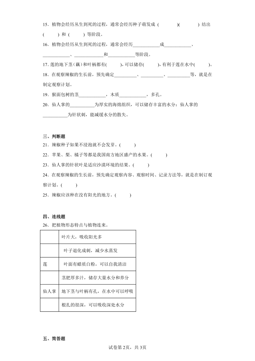 青岛版（2017）四年级下册科学第四单元植物的生长测试卷（含答案）