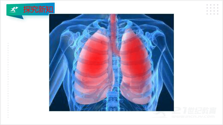 4.3.2 发生在肺内的气体交换课件（共25张PPT）