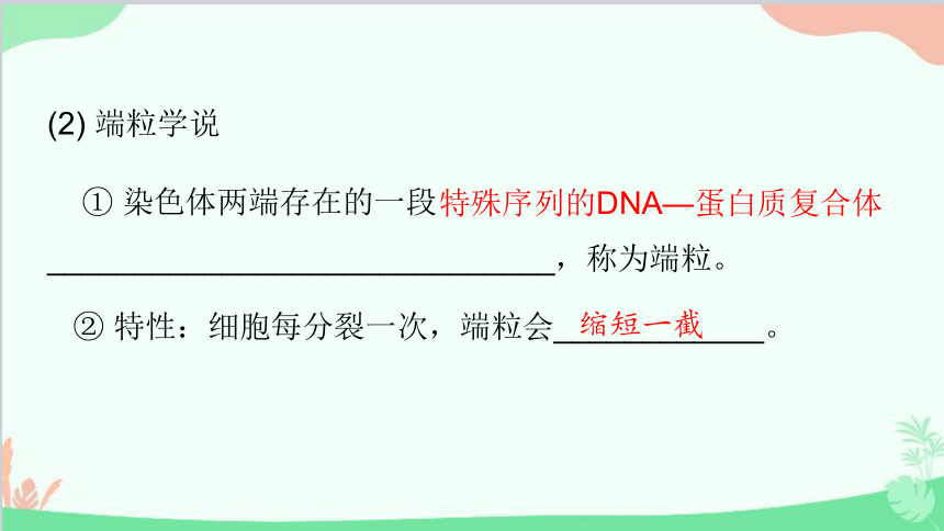 生物人教版(2019)必修1 第6章 细胞的生命历程 第3节细胞的衰老和死亡课件(共74张PPT)