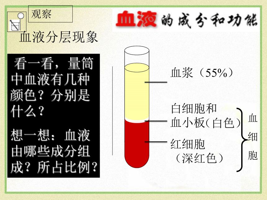 9.1血液课件(共40张PPT)