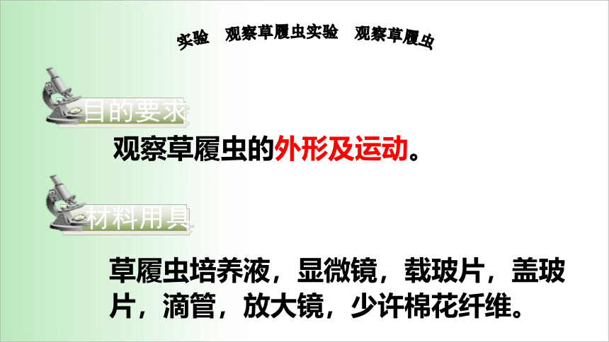 2021——2022学年人教版七年级生物上册2.2.4 单细胞生物 课件（17张PPT）