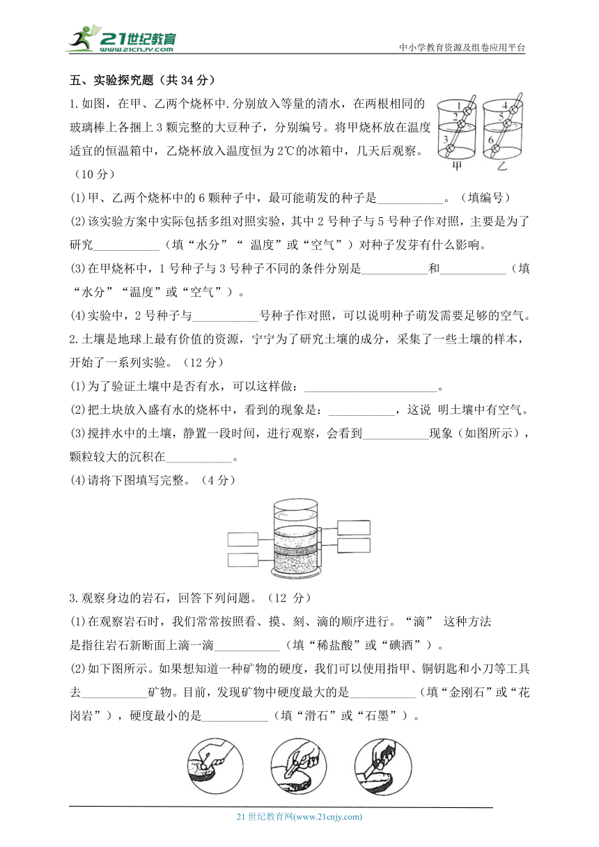 四年级科学下册（教科版）期末检测模拟卷（一）含答案