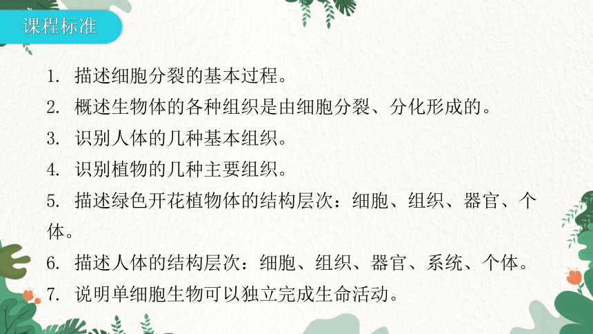 人教版生物七年级上册 第二单元生物体的结构层次章末总结第二章 细胞怎样构成生物体习题课件（共32张PPT）