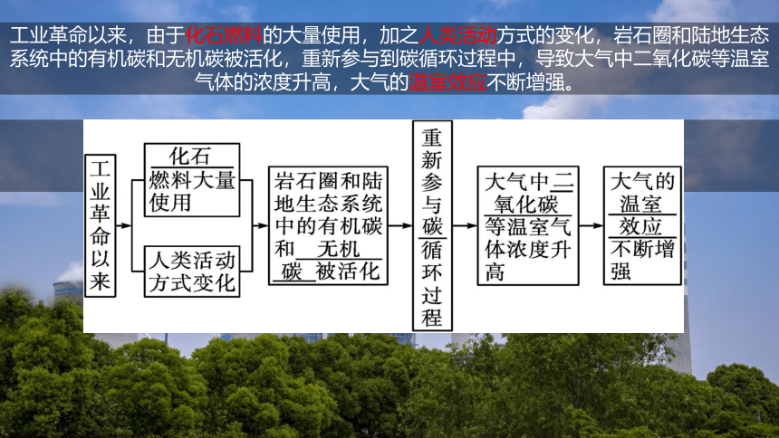 3.1碳排放与国际减排合作（共26张ppt）