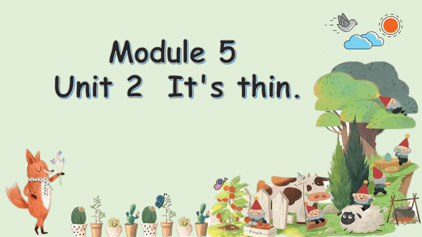 Module5 Unit2 It's thin. 课件 (23张PPT)