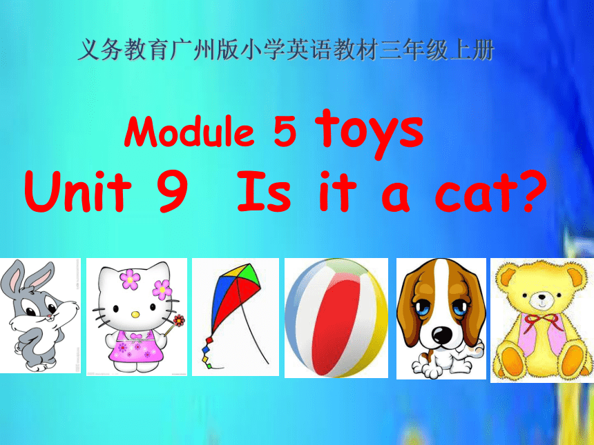 Module 5 Toys  Unit 9 课件（29张）
