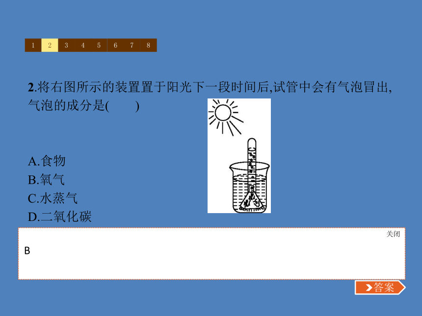 七年级上册生物 第3单元第5章　第1节　光合作用吸收二氧化碳释放氧气 习题课件(共13张PPT)