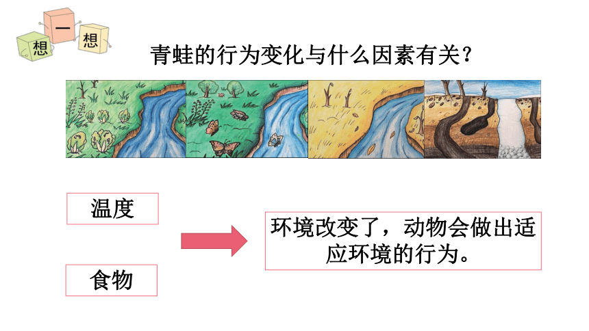 2023春教科版五年级科学下册1.5 当环境改变了 课件（21张PPT）