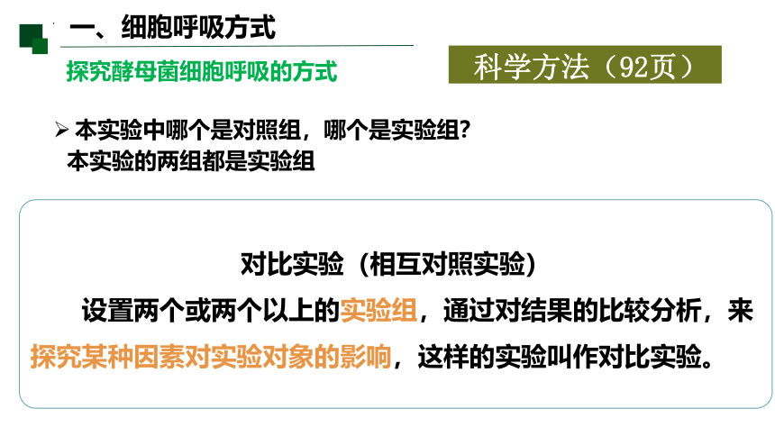 5.3.1 细胞呼吸的原理和应用课件-2022-2023学年高一上学期生物人教版（2019）必修1  课件 (共21张PPT)