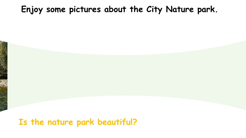 Unit 6 In a nature park  Part A  Let's learn  课件（共20张PPT，内嵌音视频）