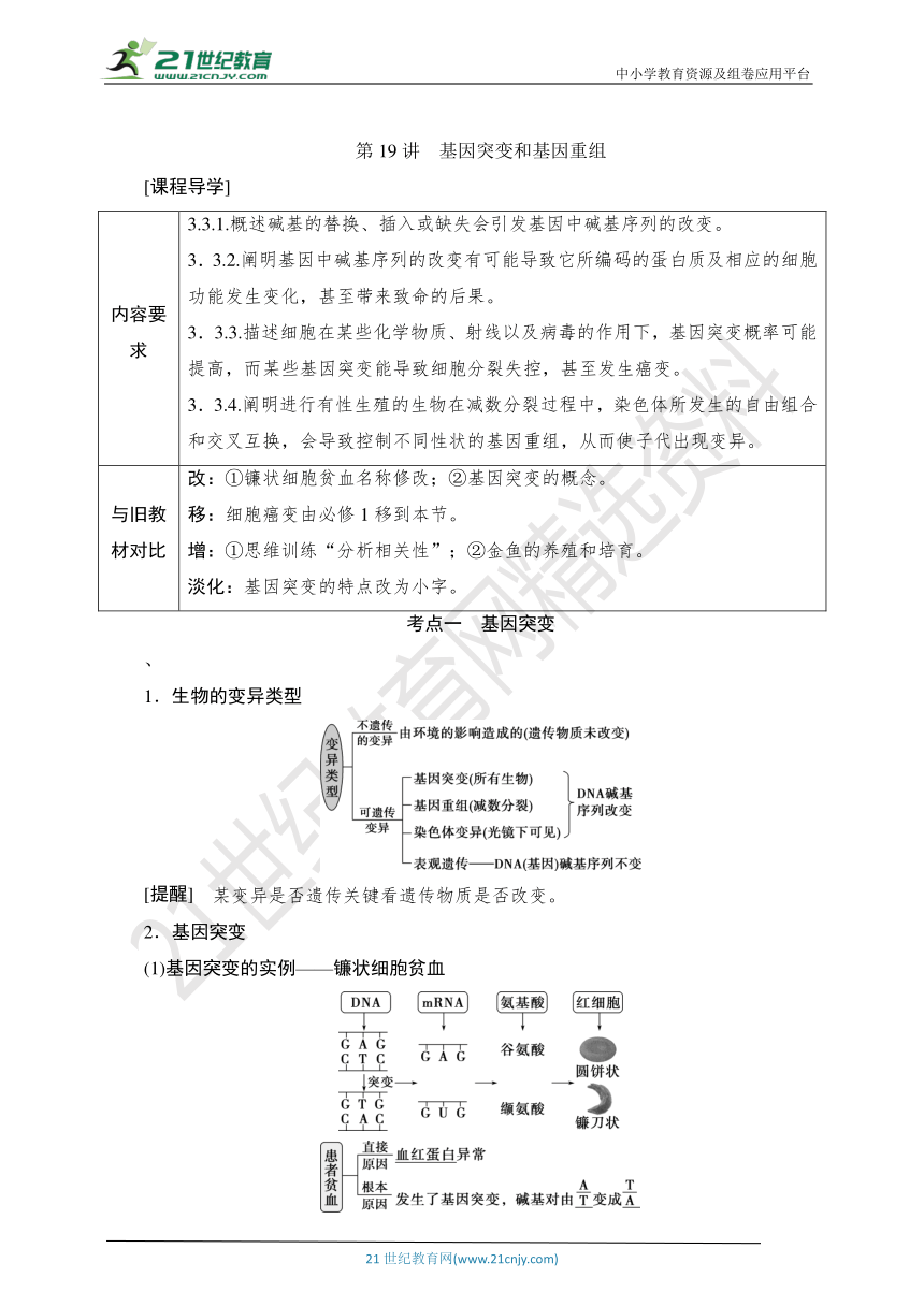 【考点梳理  生物总复习 】43第19讲　基因突变和基因重组