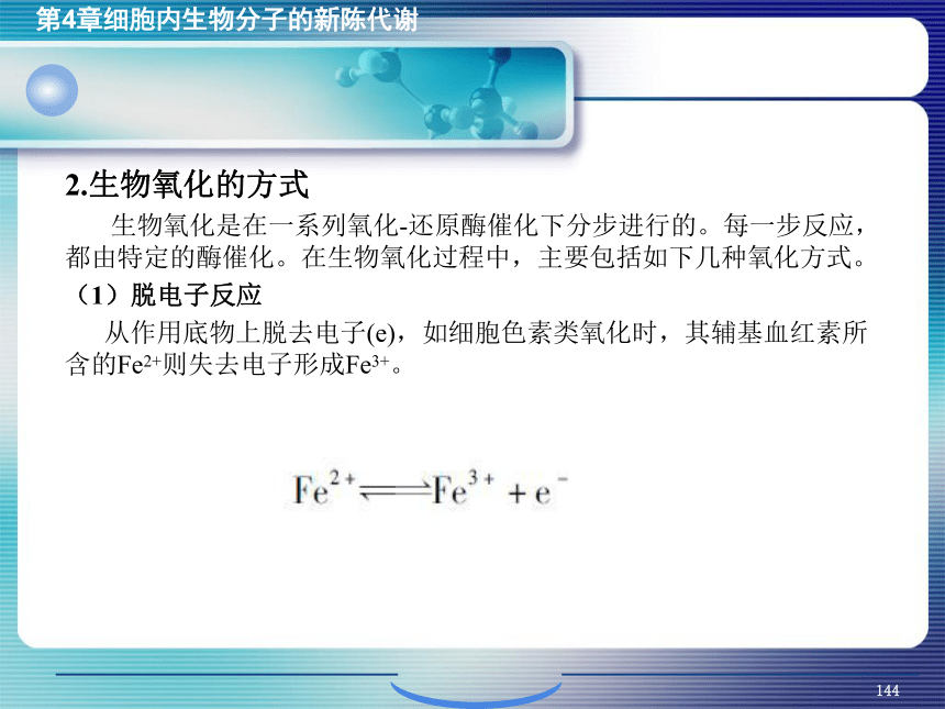 4.细胞内生物分子的新陈代谢_5 课件(共62张PPT）- 《环境生物化学》同步教学（机工版·2020）