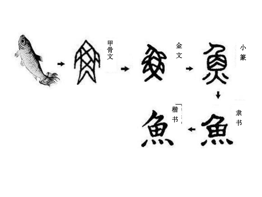 人教版小学一年级美术下册 第20课 汉字中的象形文字  课件 (24张PPT)