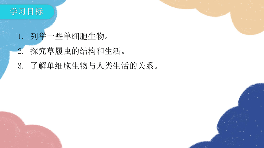 人教版生物七年级上册 2.2.4单细胞生物课件(共30张PPT)