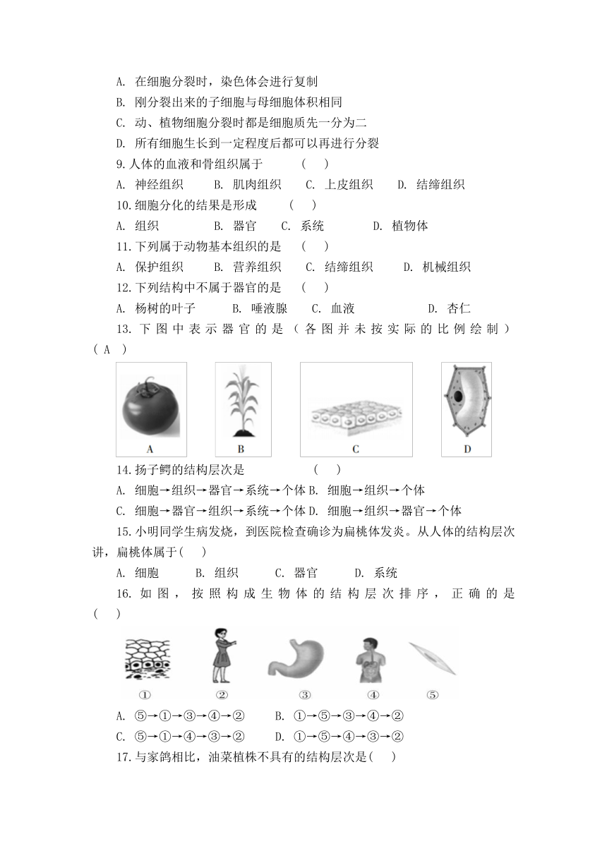 人教版七上生物第2单元第2章细胞怎样构成生物体单元试卷（含答案）