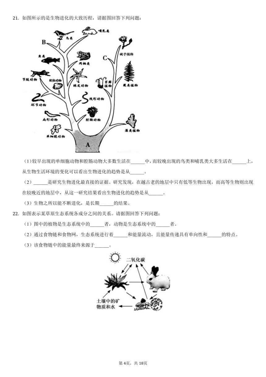 2019-2020学年山东省菏泽市巨野县八年级（下）期末生物试卷（word版含解析）