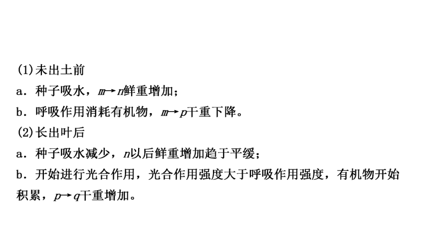 2023年人教版七年级生物上册复习专题★★第二章　被子植物的一生 课件