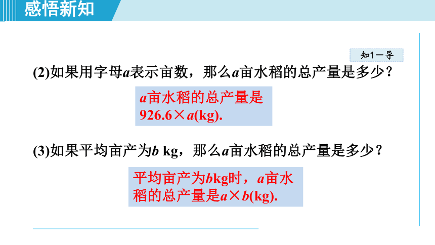 湘教版七年级上册数学 第2章 代数式2.1用字母表示数 课件（共30张PPT）