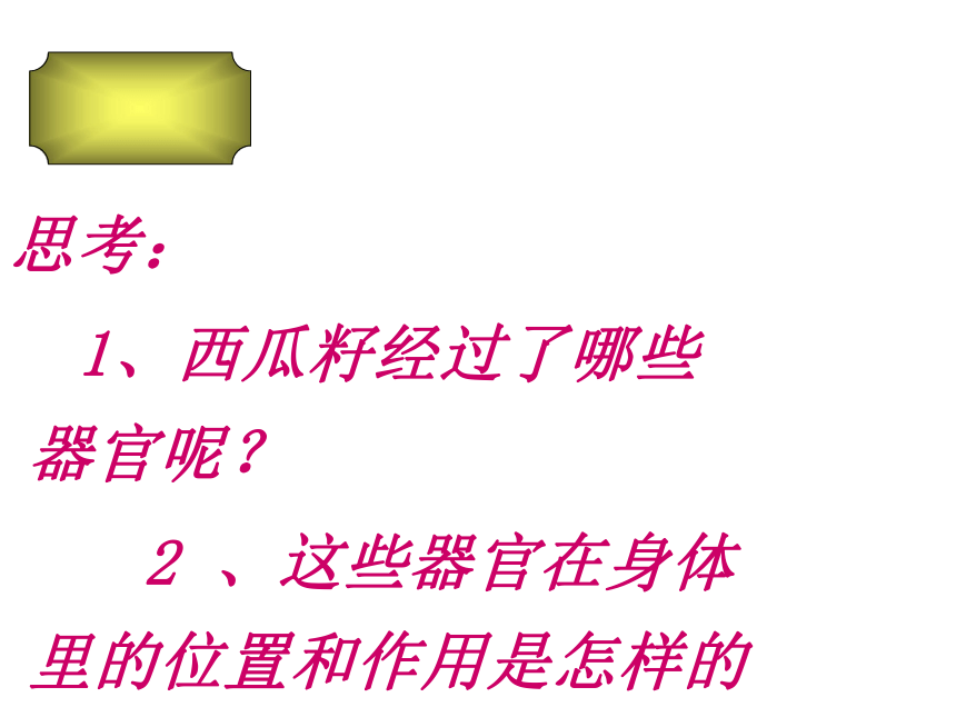 冀教版（2001）六年级科学下册2.5消化与吸收 (课件共25张ppt)