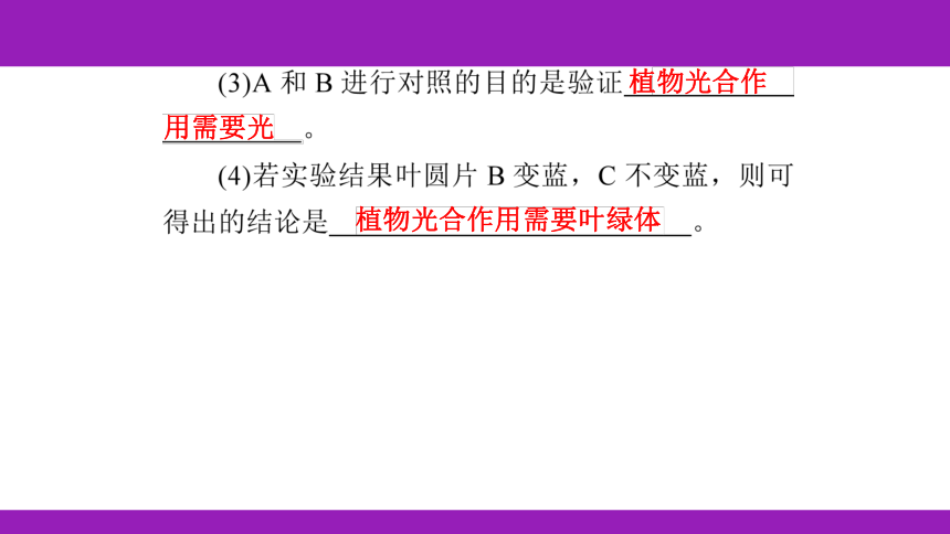 2023浙江中考一轮复习 第5课时 绿色植物的物质和能量转换（课件 64张ppt）