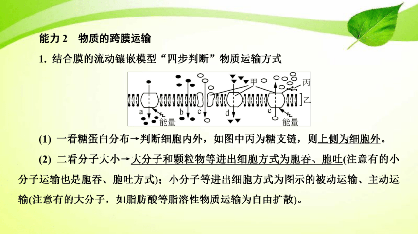 高考生物二轮总复习导学案：专题2 细胞的分子组成、结构和生命历程 第3讲 细胞的结构和功能(含物质的跨膜运输)（共2*张PPT)）