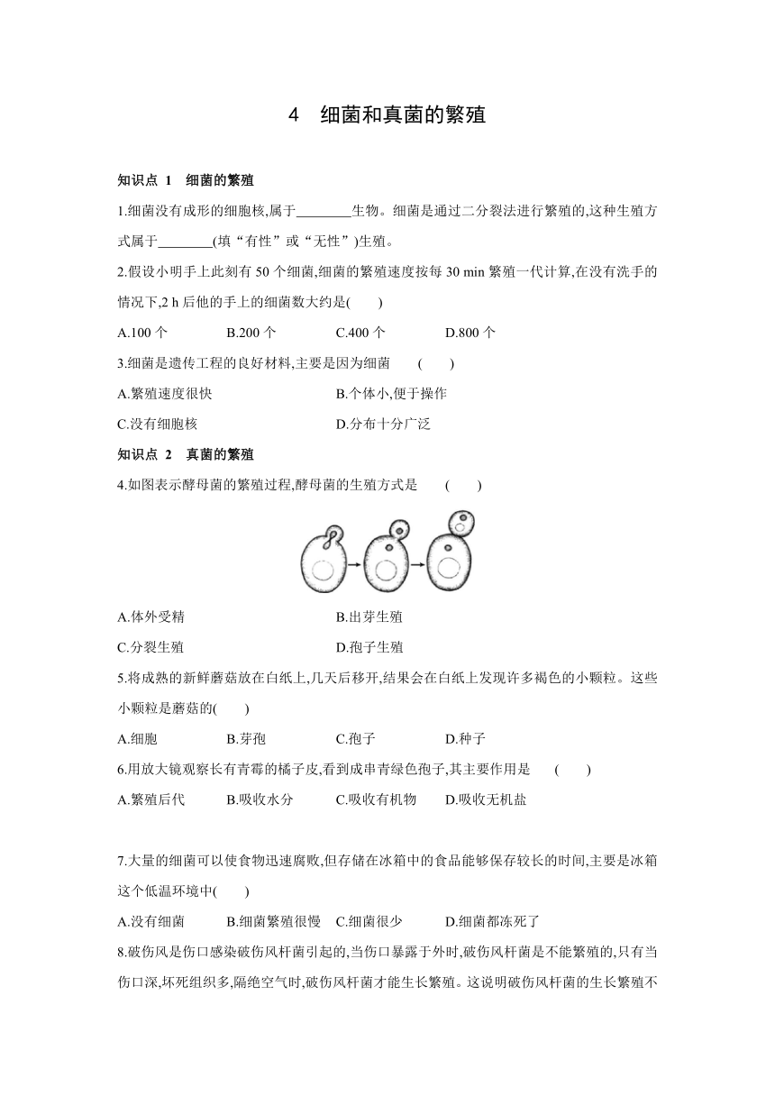 华师大版科学七年级下册同步课时练习：7.4　细菌和真菌的繁殖（含答案）